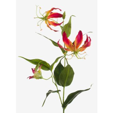 Künstliche Blume Gloriosa FUJITA, pink-gelb, 80cm, Ø15cm