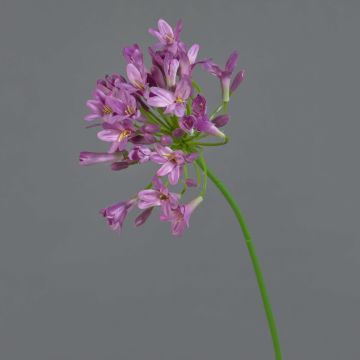 Blume künstlich Agapanthus PHILINA, violett, 75cm, Ø14cm