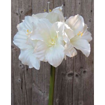 Deko Amaryllis DAGGI, weiß, 70cm, Ø11-18cm