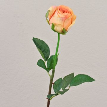Samt Rose SAPINA, gelb-orange, 60cm, Ø6cm
