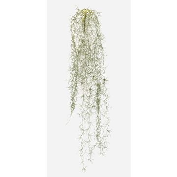 Kunst Sukkulente Tillandsia usneoides GRALER, Steckstab, schwer brennbar, grau, 90cm