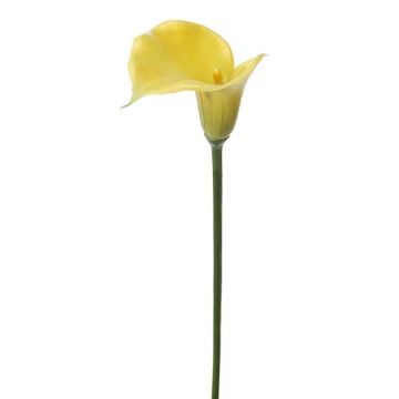 Künstliche Blume Calla CASWENA, gelb, 60cm Künstliche Blume Calla CASWENA, gelb, 60cm