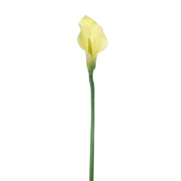 Künstliche Blume Calla POSALIN, hellgelb, 75cm Künstliche Blume Calla POSALIN, hellgelb, 75cm