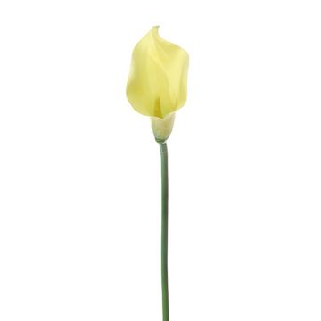 Künstliche Blume Calla POSALIN, gelb, 75cm Künstliche Blume Calla POSALIN, gelb, 75cm