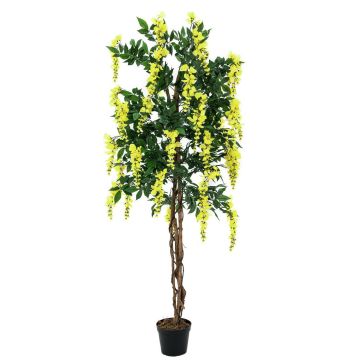 Kunststoff Goldregen LESLIE, Echtstämme, mit Blüten, gelb, 150cm Kunststoff Goldregen LESLIE, Echtstämme, mit Blüten, gelb, 150cm