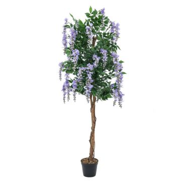 Kunststoff Goldregen LESLIE, Echtstämme, mit Blüten, lila, 150cm