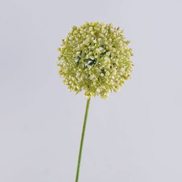 Unechter Allium HELLA, Glitzer, creme-grün, 75cm, Ø11cm Unechter Allium HELLA, Glitzer, creme-grün, 75cm, Ø11cm