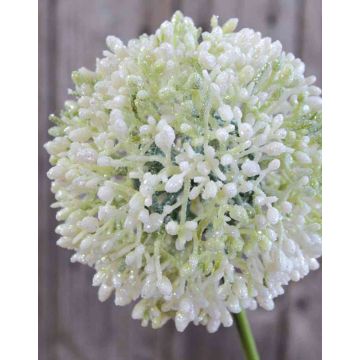 Unechter Allium HELLA, Glitzer, creme-grün, 75cm, Ø11cm