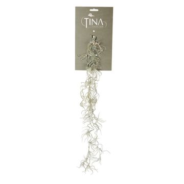 Kunst Sukkulente Tillandsia Usneoides DAMASO, Steckstab, grau-grün, 80cm