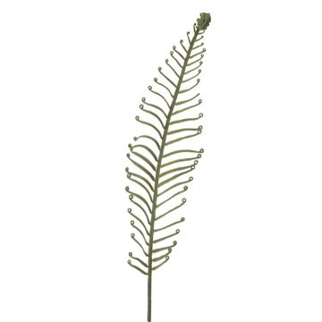 Künstliches Blatt Königsfarn DRAGU, grün, 95cm Künstliches Blatt Königsfarn DRAGU, grün, 95cm