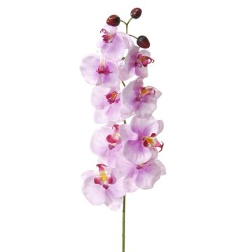 Künstliche Blume Phalaenopsis Orchidee METTINA, lila, 100cm Künstliche Blume Phalaenopsis Orchidee METTINA, lila, 100cm