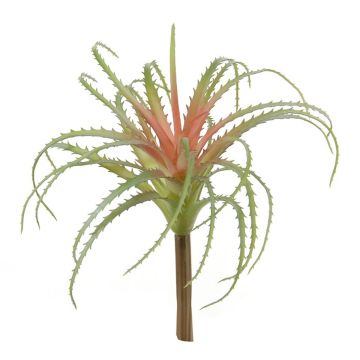 Plastik Sukkulente Tillandsia Stricta LUONG, Steckstab, grün-rot, 22cm Plastik Sukkulente Tillandsia Stricta LUONG, Steckstab, grün-rot, 22cm