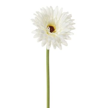 Künstliche Blume Gerbera TAYORI, weiß, 60cm Künstliche Blume Gerbera TAYORI, weiß, 60cm