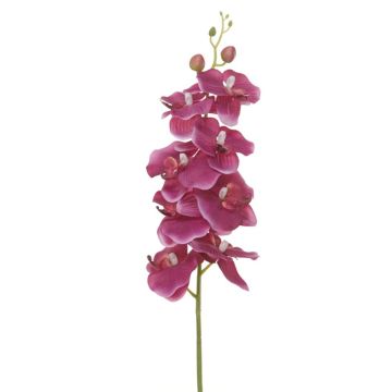 Künstliche Blume Phalaenopsis Orchidee RIESSA, cerise, 95cm