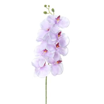 Künstliche Blume Phalaenopsis Orchidee GIENNA, helllila, 100cm Künstliche Blume Phalaenopsis Orchidee GIENNA, helllila, 100cm