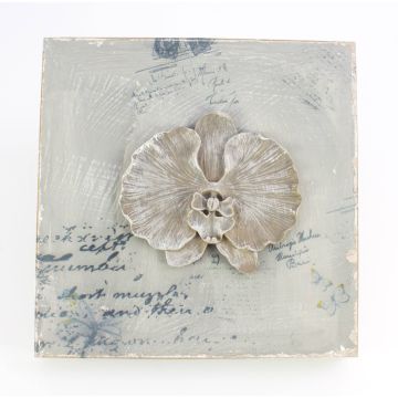 Wandbild Phalaenopsis Orchidee LAMINA, hellgrau, 32x32cm