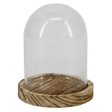 Glashaube DANILLA mit marmoriertem Holzboden, klar, 8cm, Ø6cm