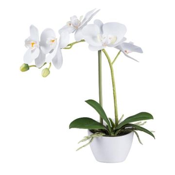 Kunst Phalaenopsis Orchidee FUNTIF im Melamin-Übertopf, Wurzeln, weiß, 35cm