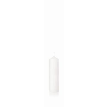 Kaminkerze FRANZISKA, weiß, 25cm, Ø7cm, 96h - Made in Germany Kaminkerze FRANZISKA, weiß, 25cm, Ø7cm, 96h - Made in Germany