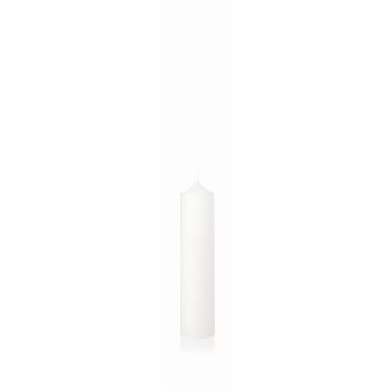 Kaminkerze FRANZISKA, weiß, 30cm, Ø7cm, 115h - Made in Germany Kaminkerze FRANZISKA, weiß, 30cm, Ø7cm, 115h - Made in Germany