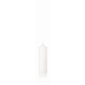 Kaminkerze FRANZISKA, weiß, 25cm, Ø8cm, 114h - Made in Germany Kaminkerze FRANZISKA, weiß, 25cm, Ø8cm, 114h - Made in Germany