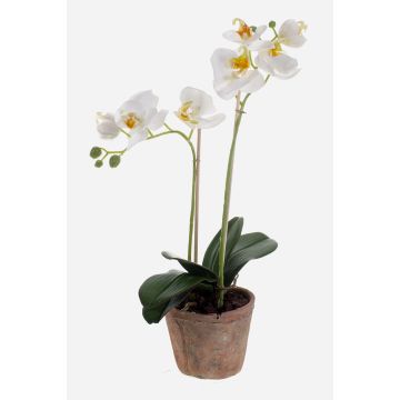 Kunstorchidee Phalaenopsis MINA im Terracotta Topf, weiß, 45cm