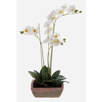 Kunstorchidee Phalaenopsis MINA im Terracotta Topf, weiß, 55cm