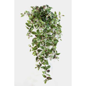Deko Tradescantia Zebrina PANCHO, Stecker, grün-lila, 95cm