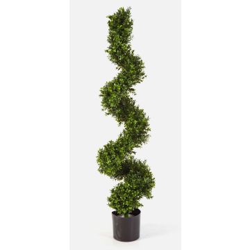 Dekobaum Buchs Spirale TOM, schmal, 135cm Dekobaum Buchs Spirale TOM, schmal, 135cm