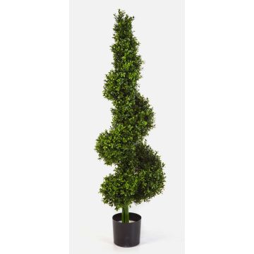Dekobaum Buchs Spirale TOM, dick, 135cm Dekobaum Buchs Spirale TOM, dick, 135cm