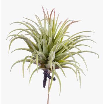 Kunst Sukkulente Tillandsia Rubra PENNY, Stecker, grün-rot, 12cm, Ø10cm