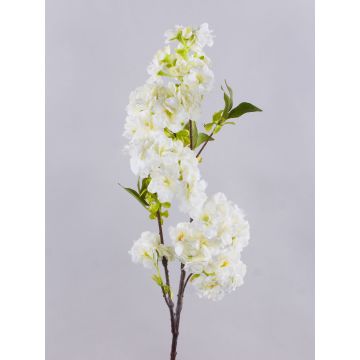 Kunst Kirschblütenzweig MATSUDA mit Blüten, creme-weiß, 80cm, Ø6-11cm Kunst Kirschblütenzweig MATSUDA mit Blüten, creme-weiß, 80cm, Ø6-11cm