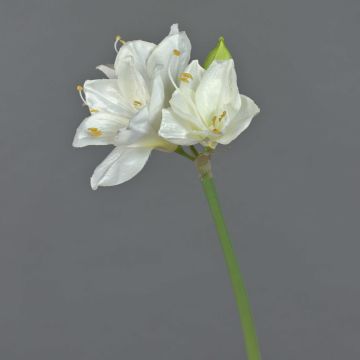 Kunst Amaryllis BENITA, weiß, 55cm, Ø10cm