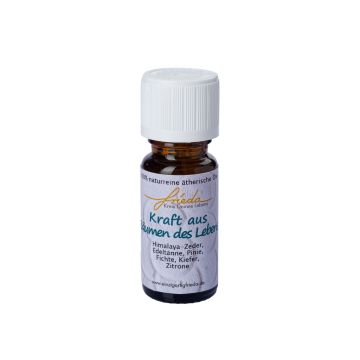 Naturreines ätherisches Öl ROMERO, Kraft aus Bäumen des Lebens, 10ml, 7cm, Ø2,3cm