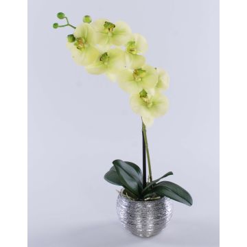 Kunstblume Phalaenopsis Orchidee EMILIA, Dekotopf, creme-grün, 45cm Kunstblume Phalaenopsis Orchidee EMILIA, Dekotopf, creme-grün, 45cm