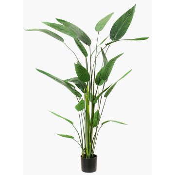 Künstliche Pflanze Heliconie ANURIA, 175cm