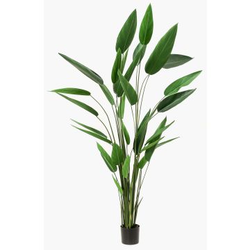 Künstliche Pflanze Heliconie ANURIA, 220cm Künstliche Pflanze Heliconie ANURIA, 220cm