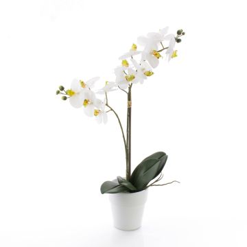 Künstliche Phalaenopsis Orchidee CANDIDA im Keramiktopf, weiß, 65cm