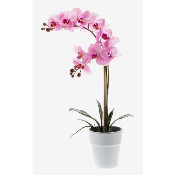 Künstliche Phalaenopsis Orchidee CANDIDA im Keramiktopf, rosa, 65cm