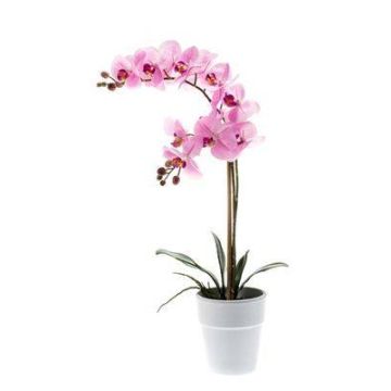 Künstliche Phalaenopsis Orchidee CANDIDA im Keramiktopf, rosa, 65cm