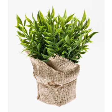 Kräuter künstlich Mäusedorn VITUS im Jutesack, grün, 22cm, Ø24cm