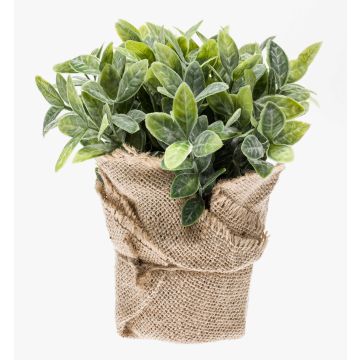 Kräuter künstlich Salbei VITUS im Jutesack, grün-weiß, 20cm, Ø22cm