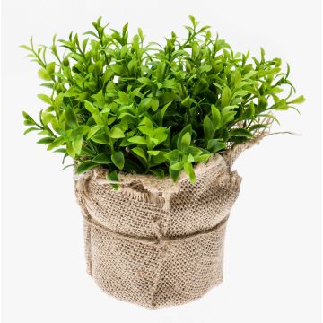Kräuter künstlich Kresse VITUS im Jutesack, grün, 17cm, Ø18cm