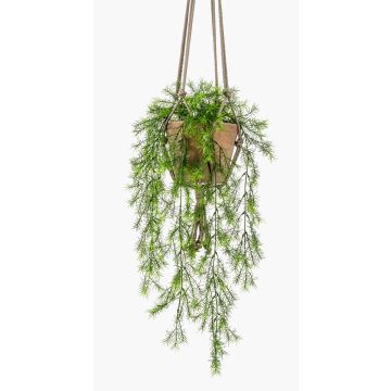 Asparagus sprengeri Blumenampel künstlich SILIJA, Terracotta Topf, 75cm Asparagus sprengeri Blumenampel künstlich SILIJA, Terracotta Topf, 75cm
