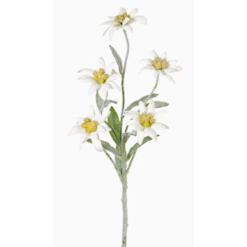 Kunst Alpen Edelweiß SOPHIA, weiß, 40cm, Ø5-6cm Kunst Alpen Edelweiß SOPHIA, weiß, 40cm, Ø5-6cm