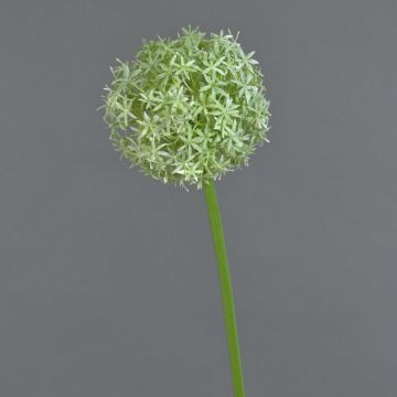 Kunst Allium SAMARA, weiß-grün, 75cm, Ø12cm