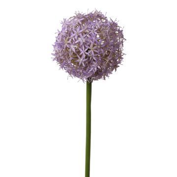 Kunst Allium SAMARA, lila, 75cm, Ø12cm Kunst Allium SAMARA, lila, 75cm, Ø12cm