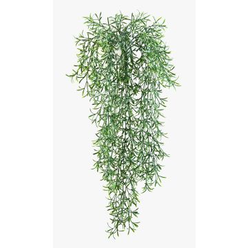 Plastik Asparagus sprengeri Hänger CAMILLA, Stecker, 70cm Plastik Asparagus sprengeri Hänger CAMILLA, Stecker, 70cm