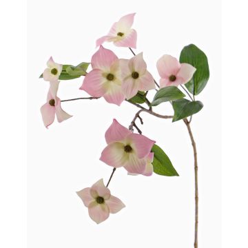 Textilzweig Japanischer Hartriegel KOHANA, blühend, rosa-creme, 65cm, Ø4-8cm Textilzweig Japanischer Hartriegel KOHANA, blühend, rosa-creme, 65cm, Ø4-8cm