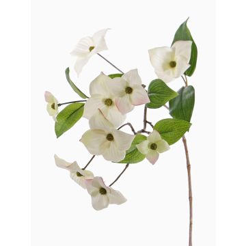 Textilzweig Japanischer Hartriegel KOHANA, blühend, creme, 65cm, Ø4-8cm
